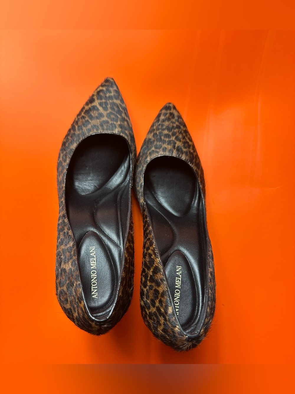 Leopard Print Pointed-Toe High Heels - Picture 16 of 16